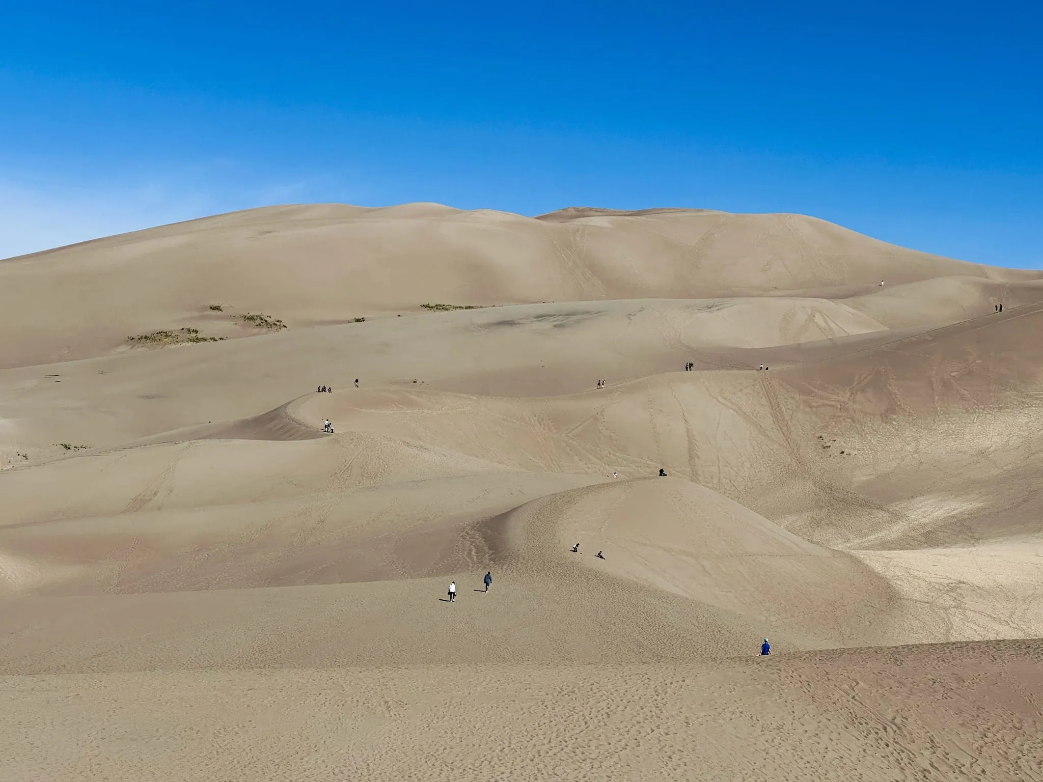 Wide sand dunes at Great Sand Dunes National Park