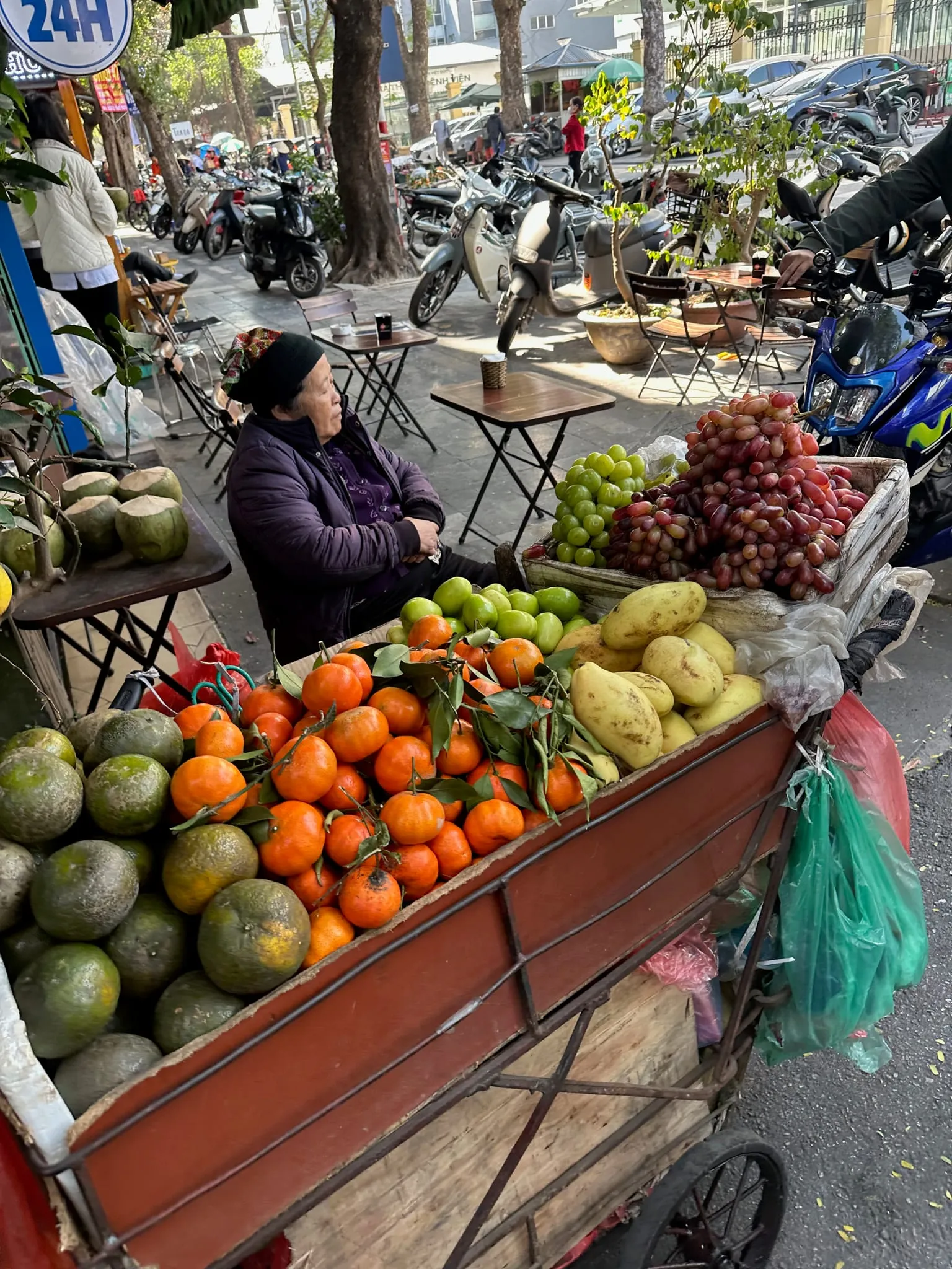 A fruit vendor's cart piled with oranges and grapes in Hanoi