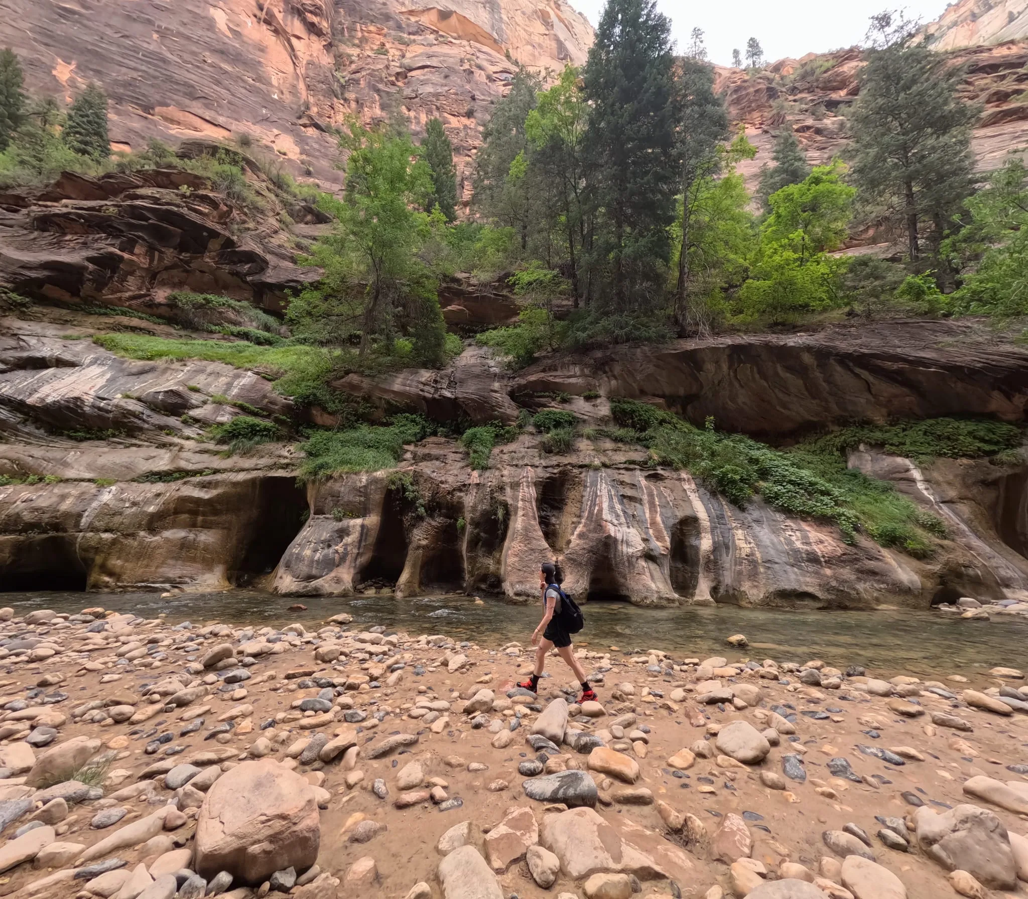 A hiker crossing the rocky riverbed in the Zion Narrows