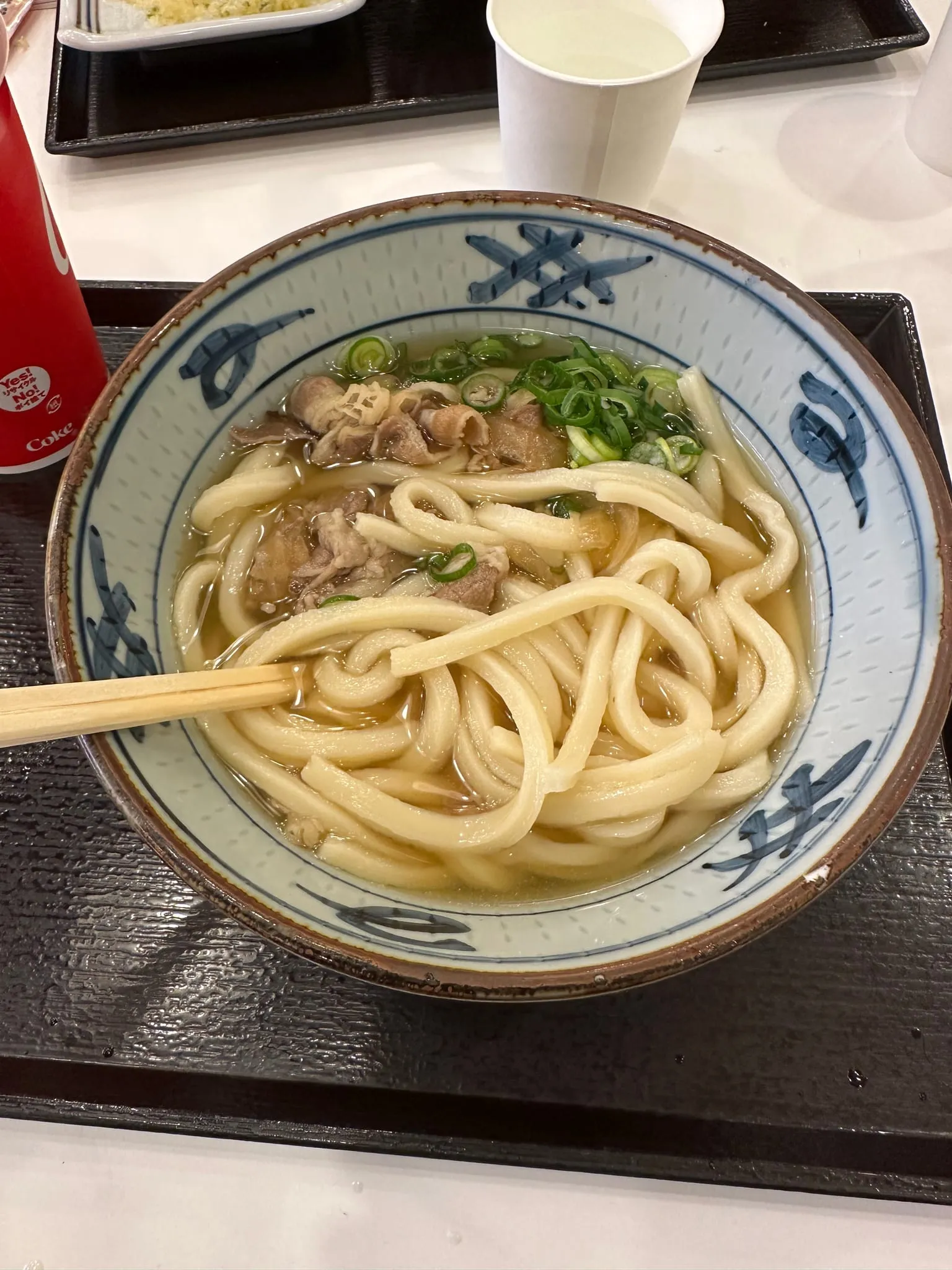 A bowl of udon with chopsticks