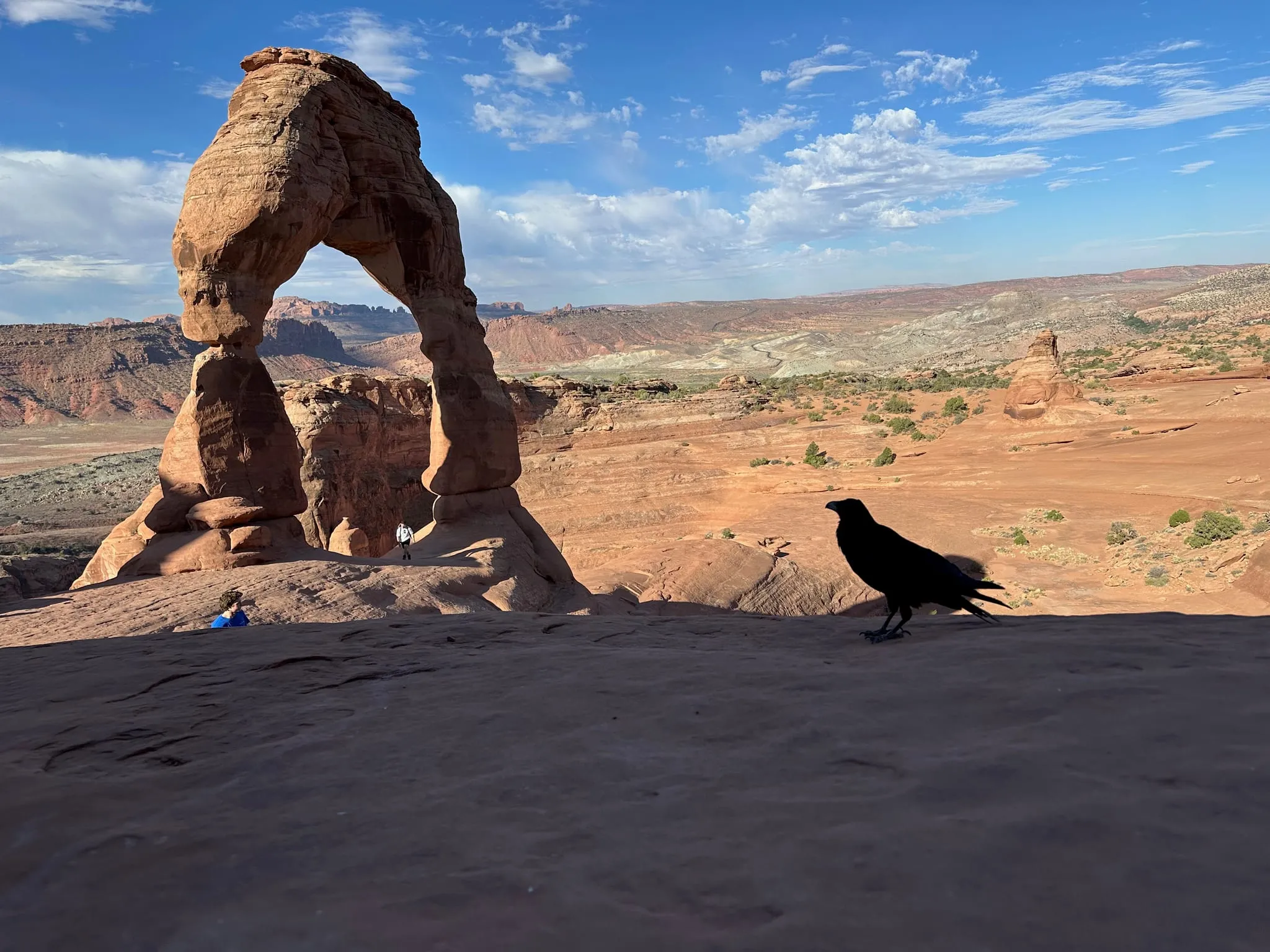 Delicate Arch, with a raven on the rock in front