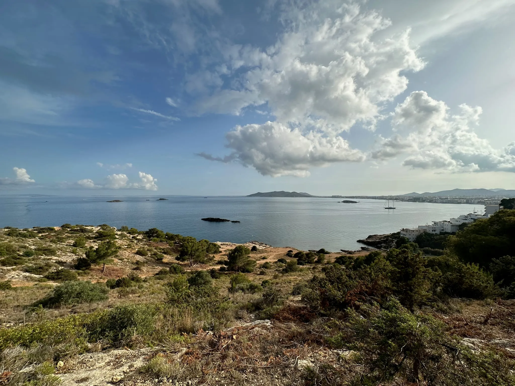 Scrubland on a headland above the bay at Ibiza