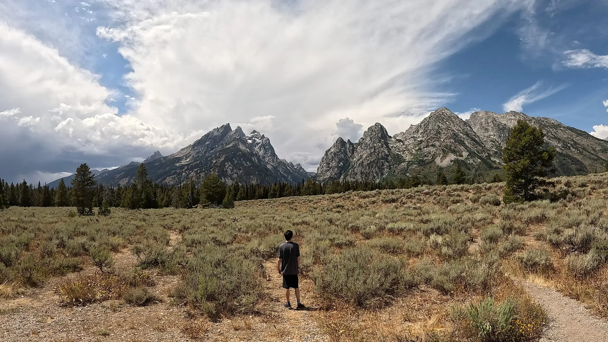 Someone standing in sagebrush below the Tetons