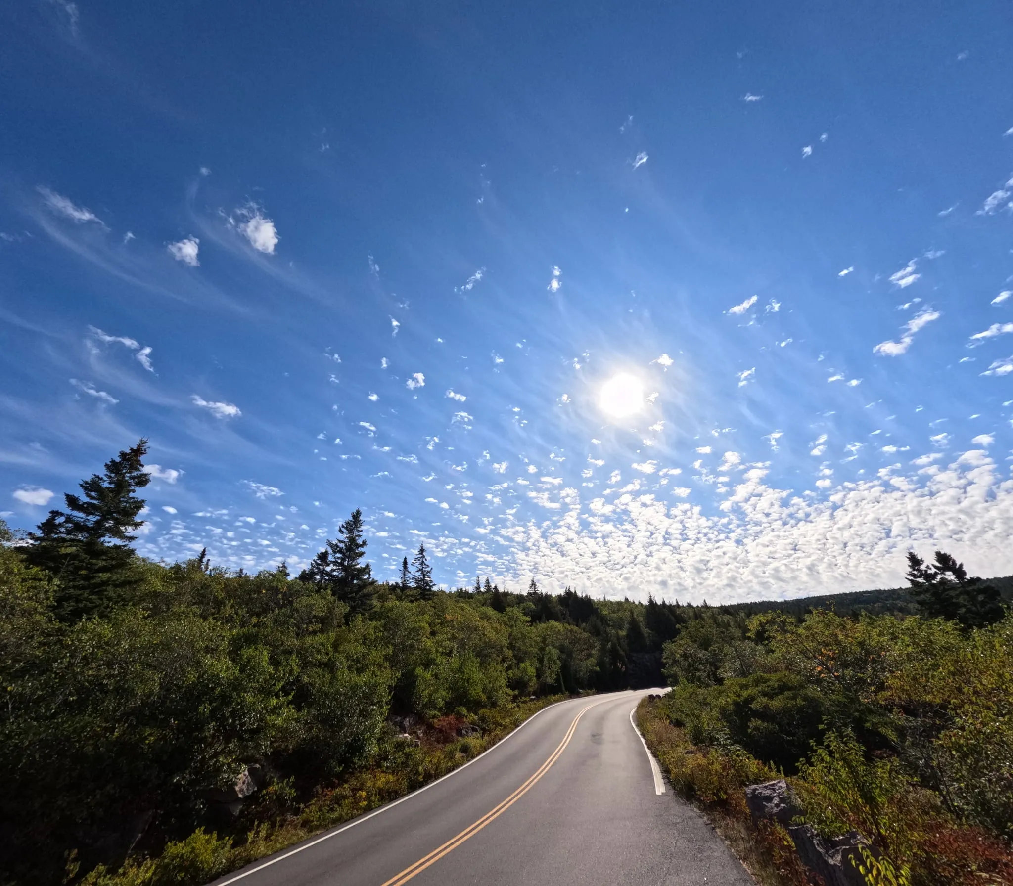 A road through low pines under scattered clouds in Acadia