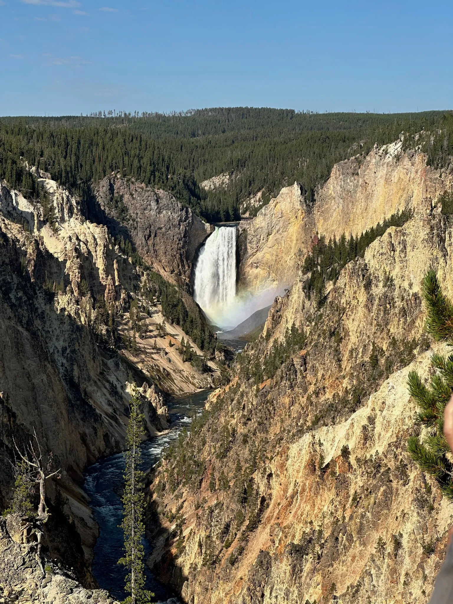The Lower Falls of the Yellowstone with a rainbow