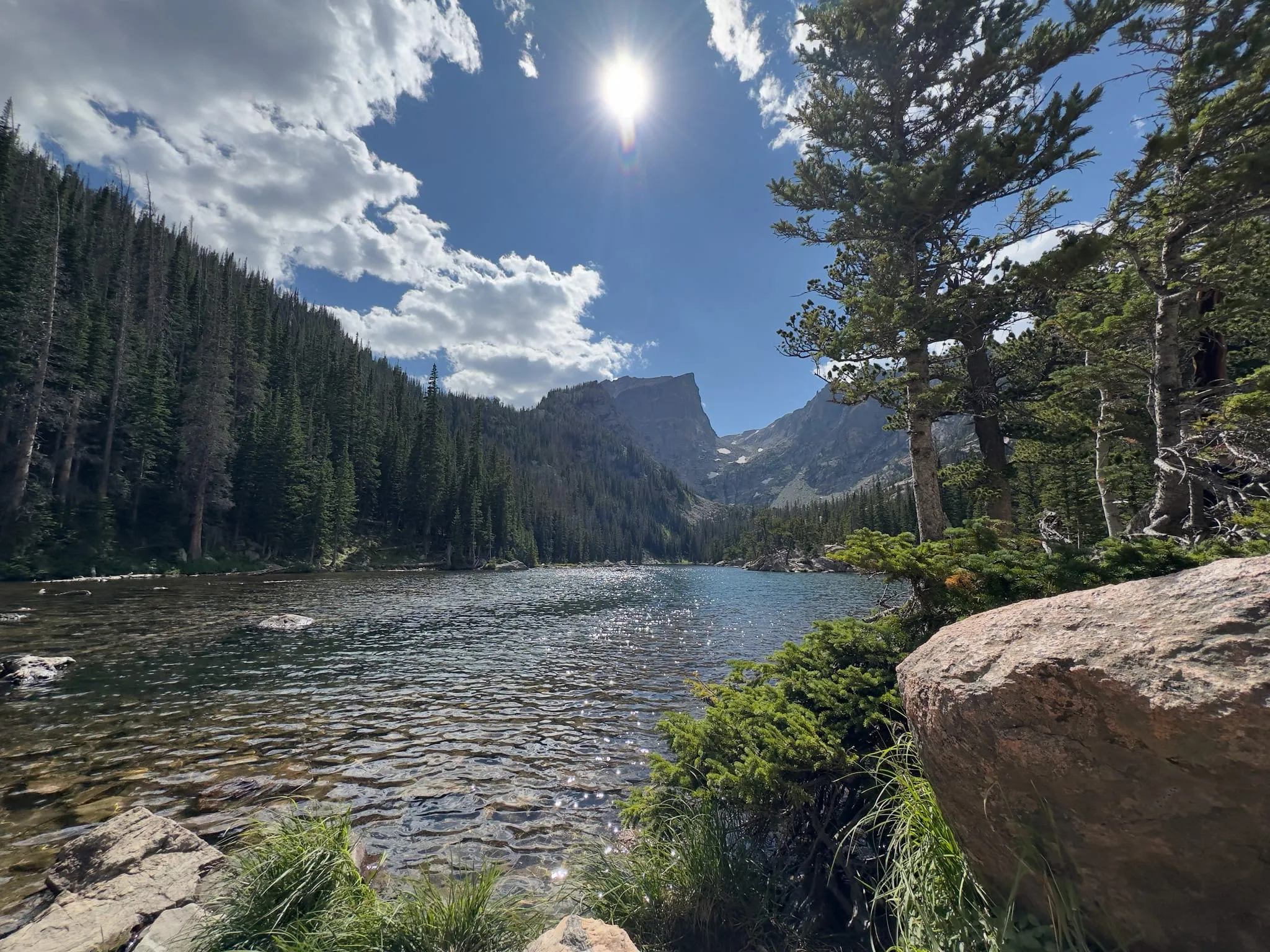 A clear stream and pines below a mountain in Rocky Mountain National Park