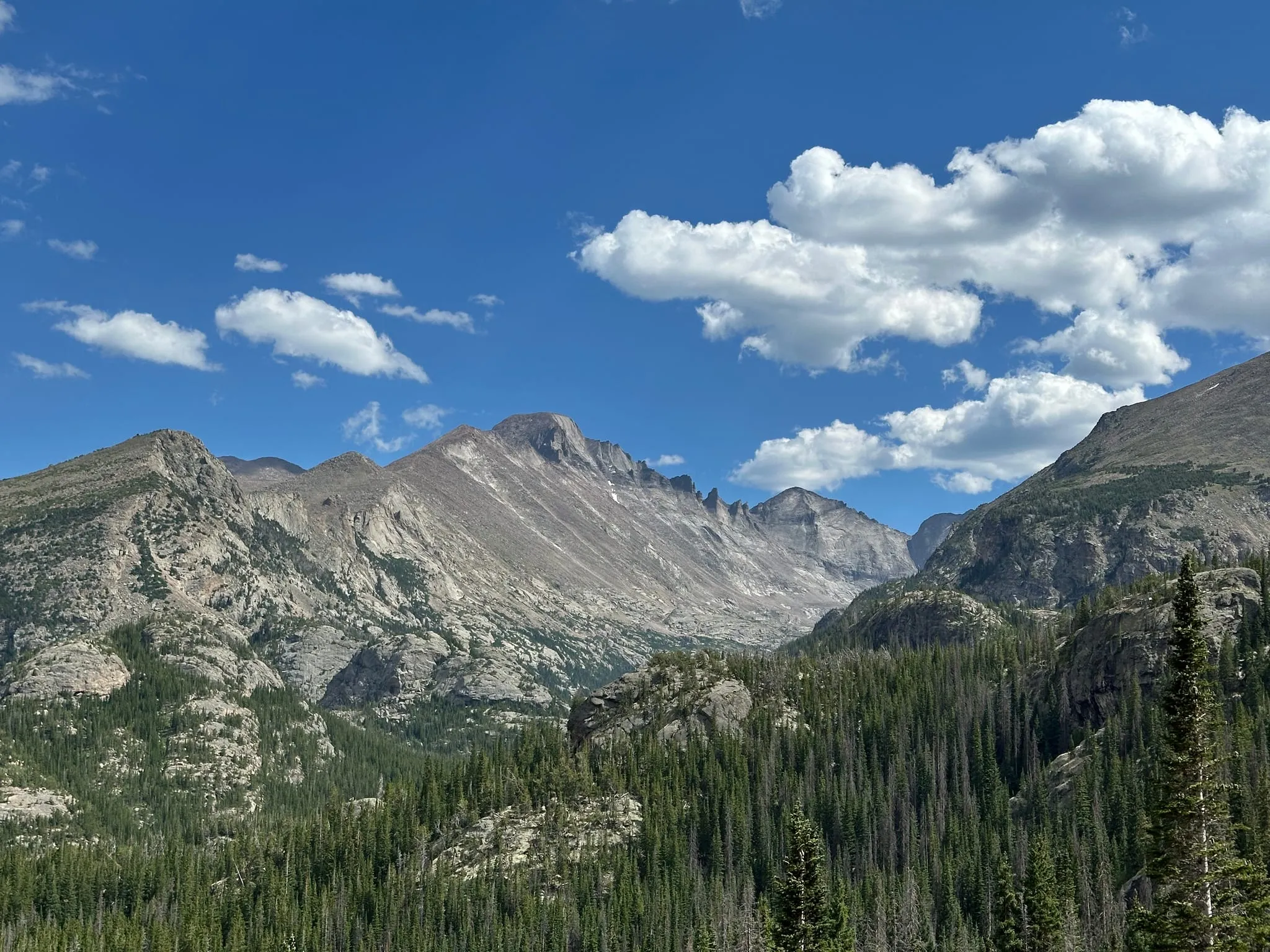 Longs Peak above a forested valley