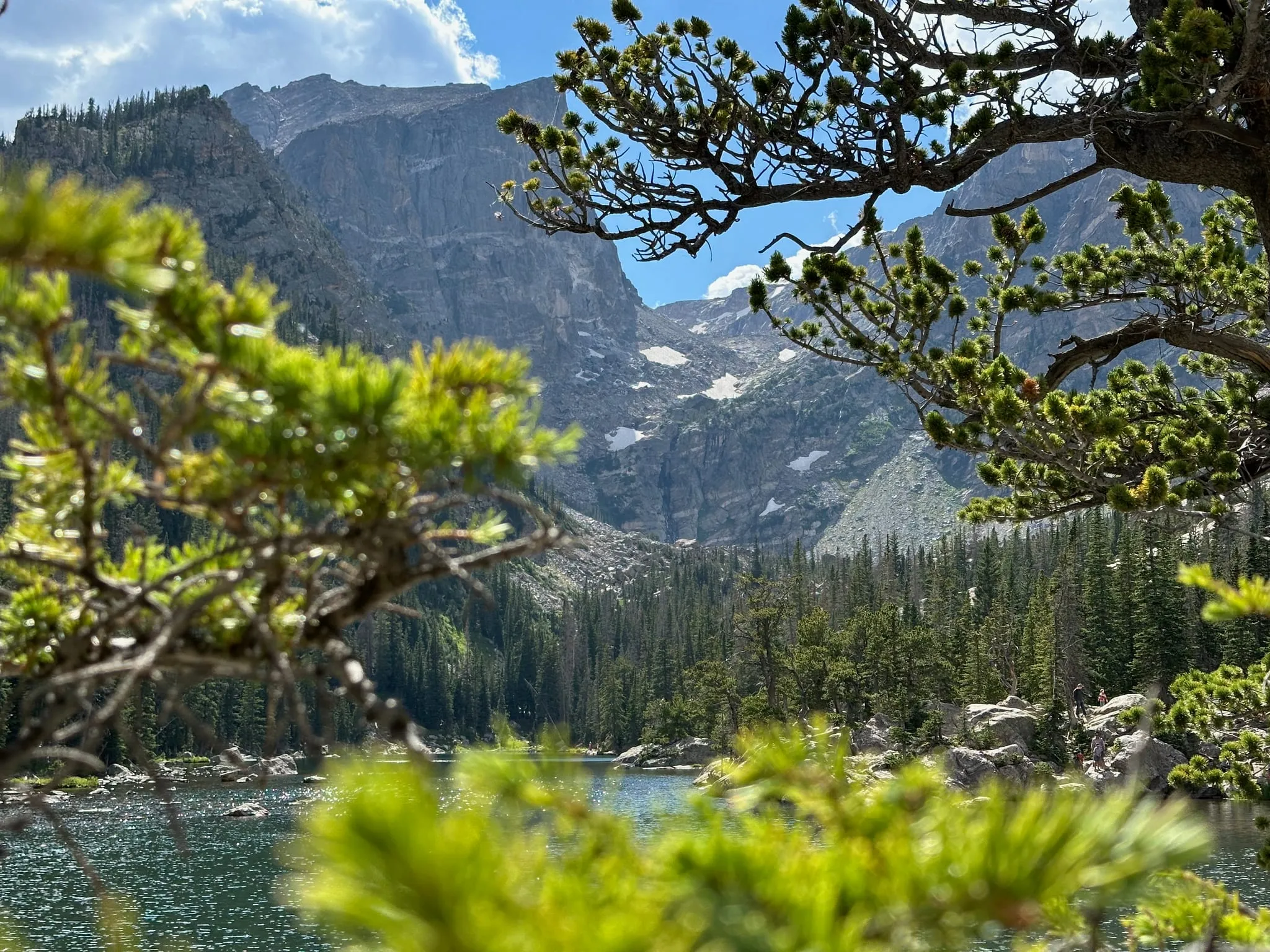 A lake seen through pine branches below high cliffs