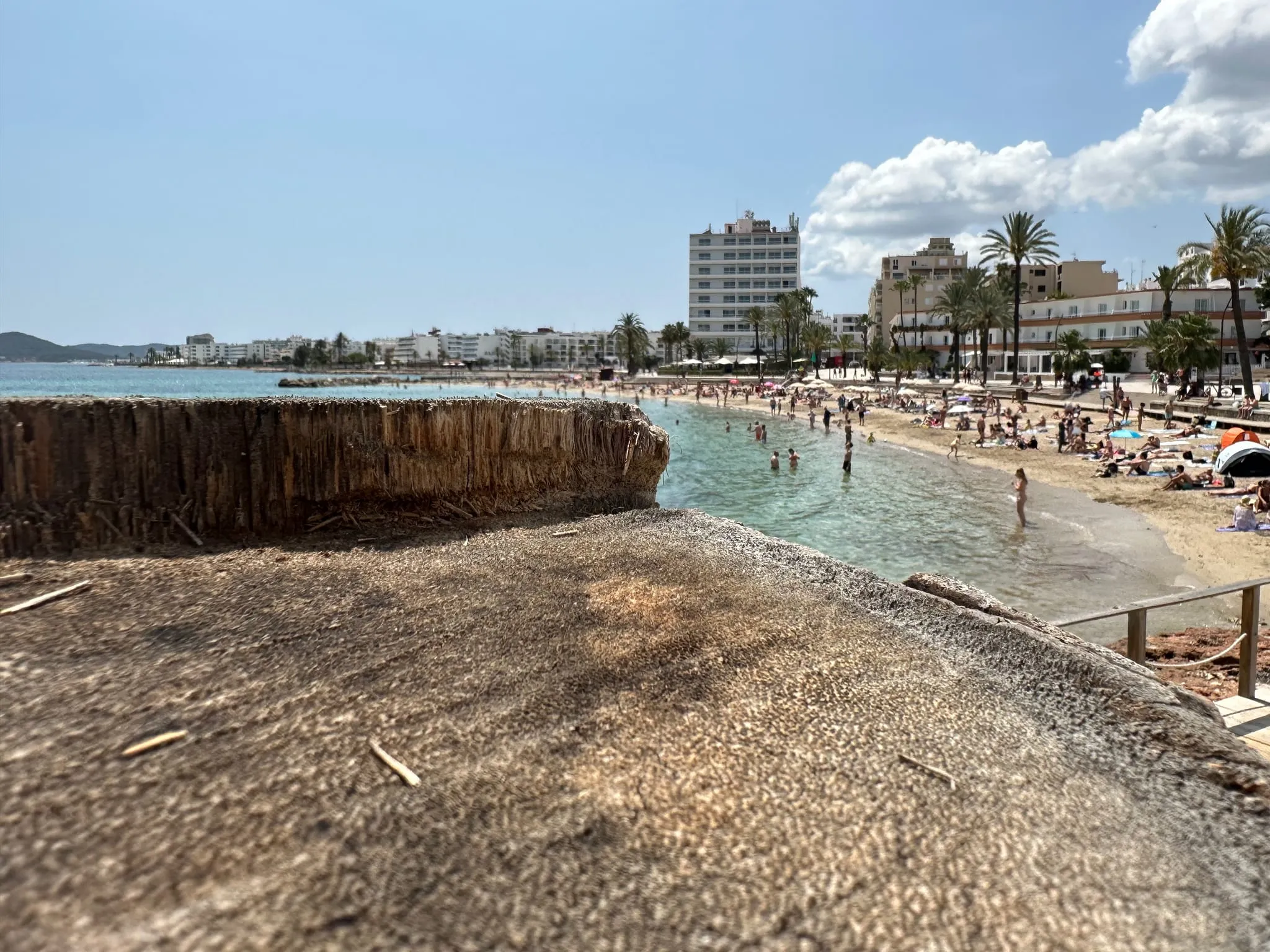 A beach lined with palm trees and hotels in Ibiza
