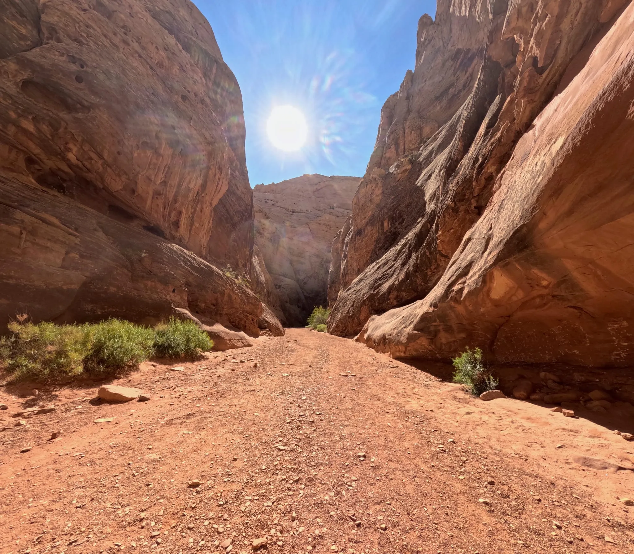 A sunny sandy wash between tall red walls