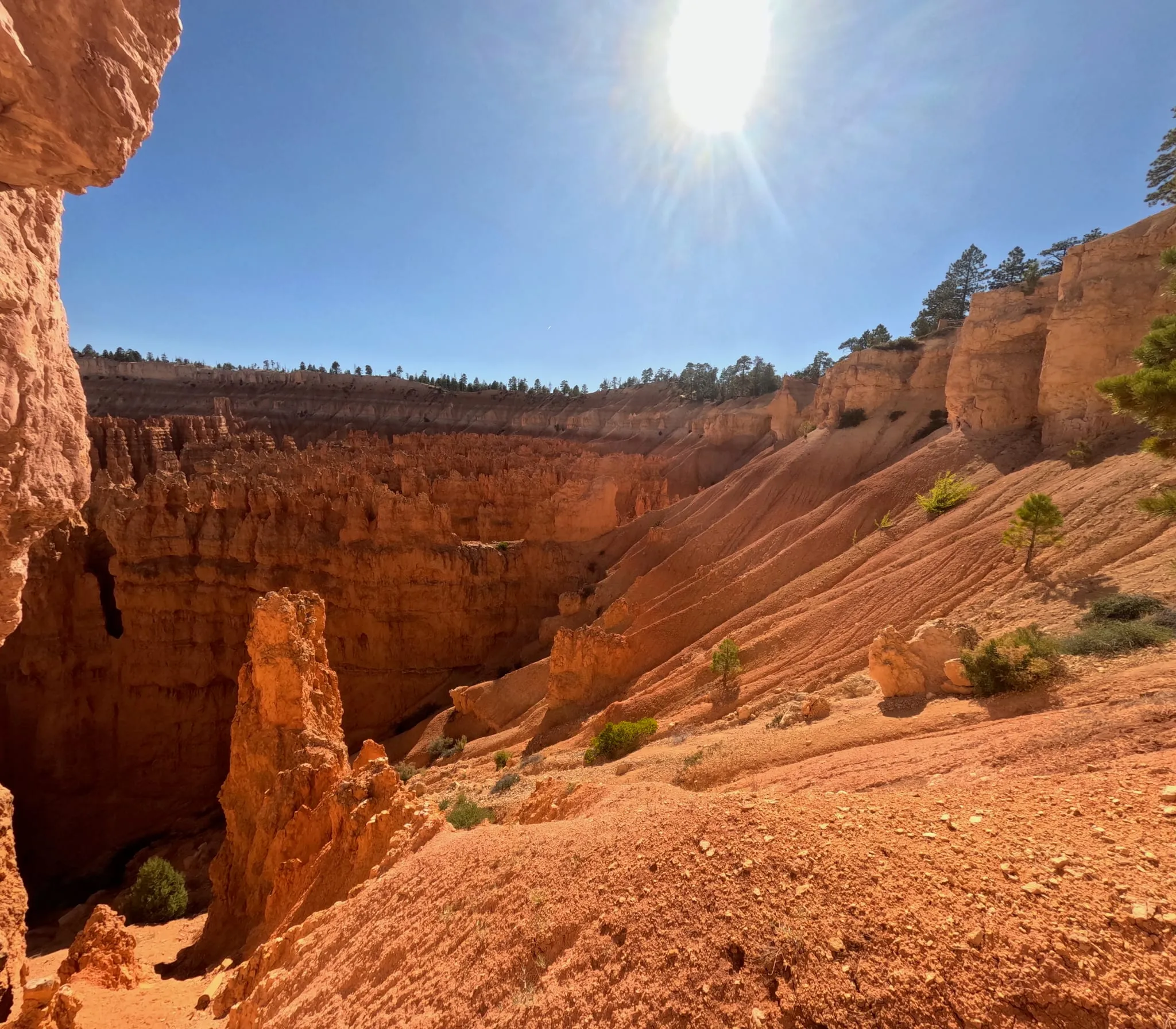 Orange slopes and hoodoos at Bryce Canyon