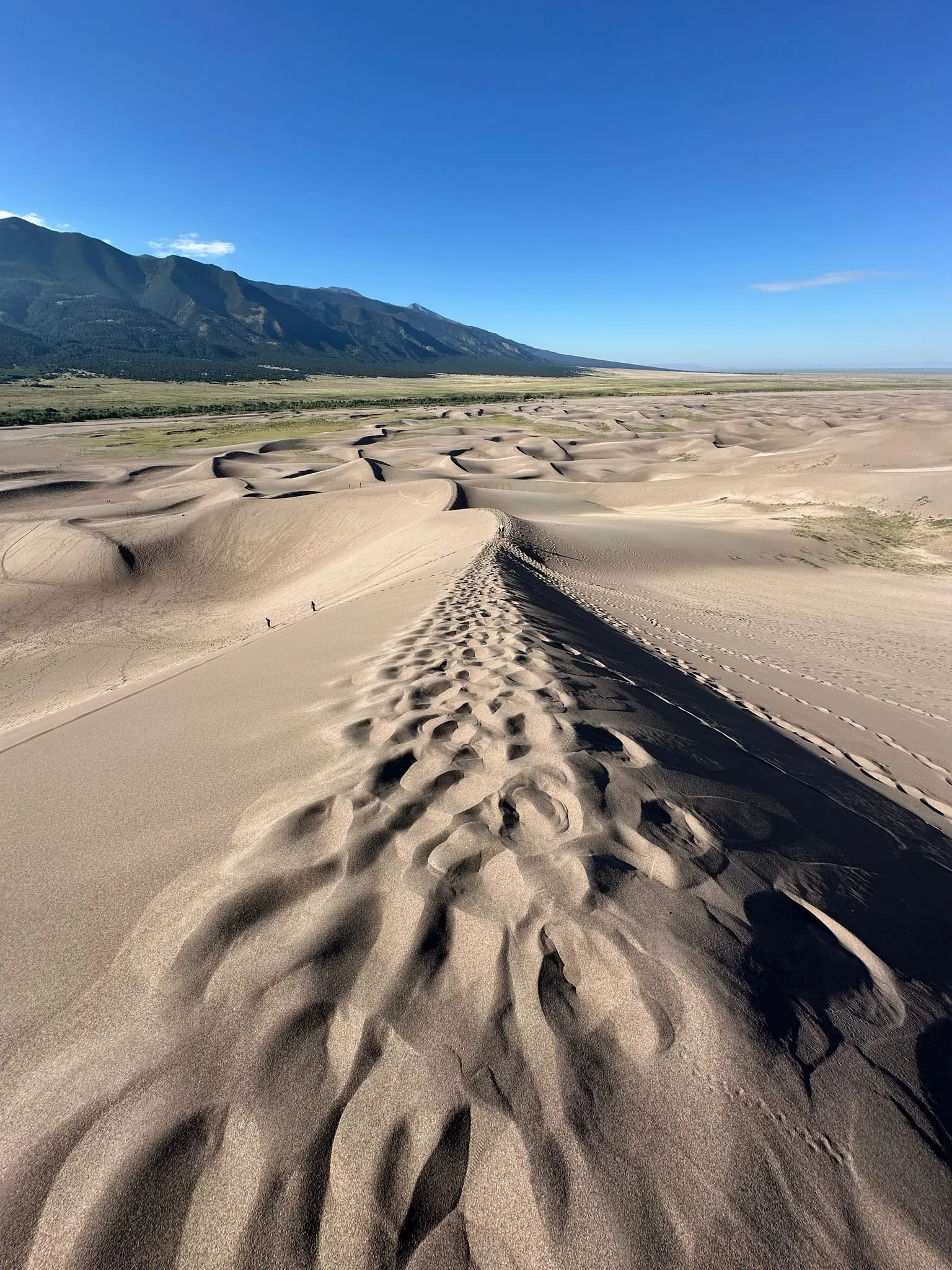 A footprinted ridge stretching across the dunes