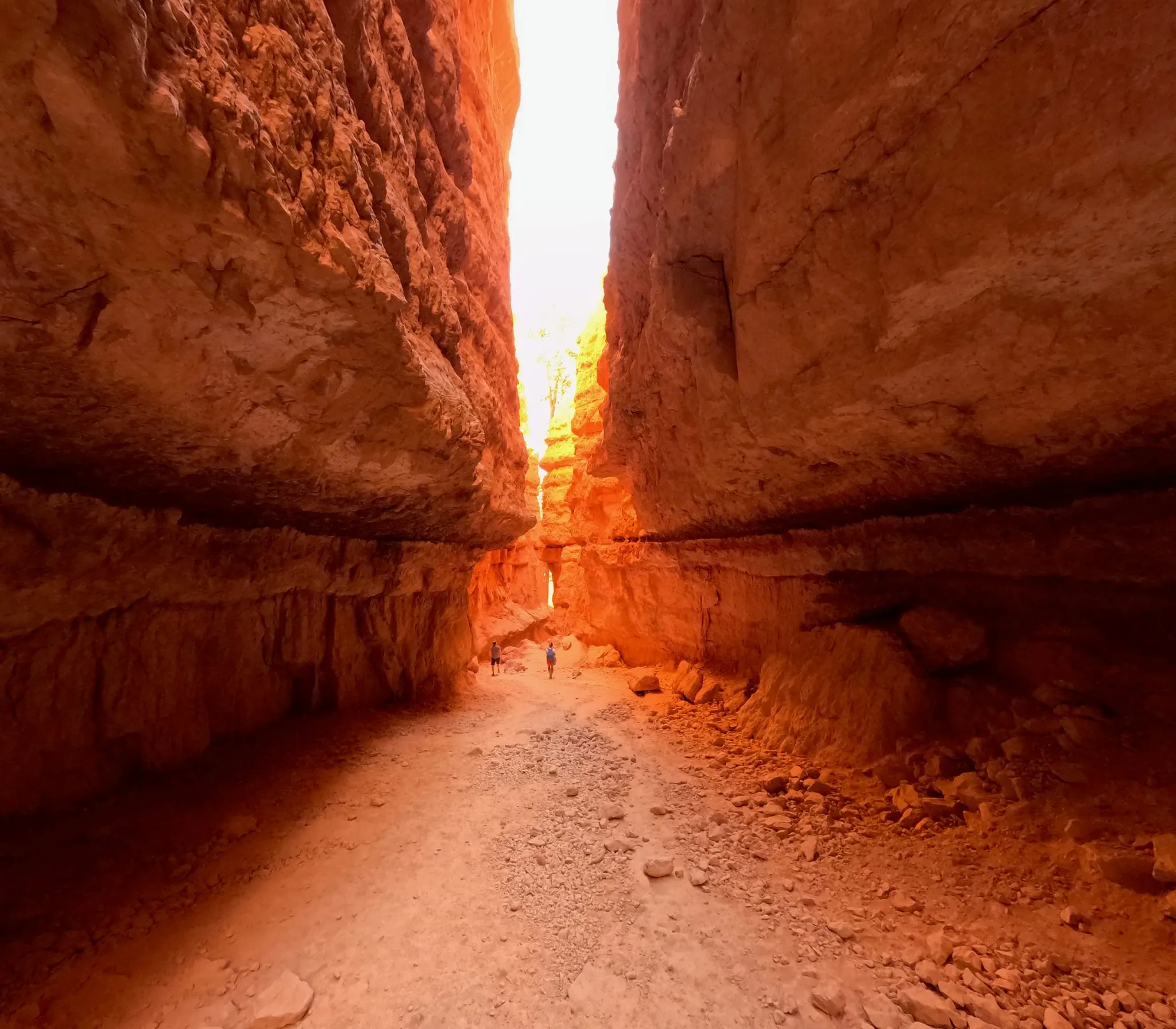 A narrow, glowing passage in Wall Street at Bryce Canyon