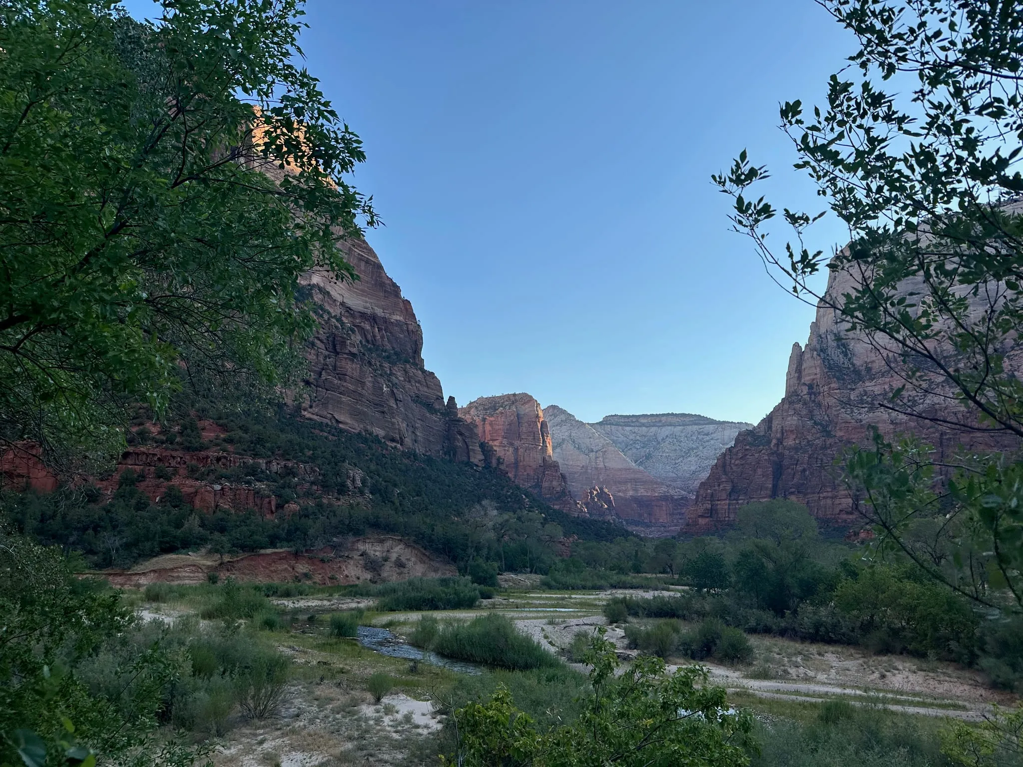 The Virgin River and canyon walls in Zion
